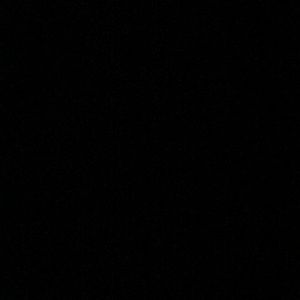 Meet your Posher, Devin